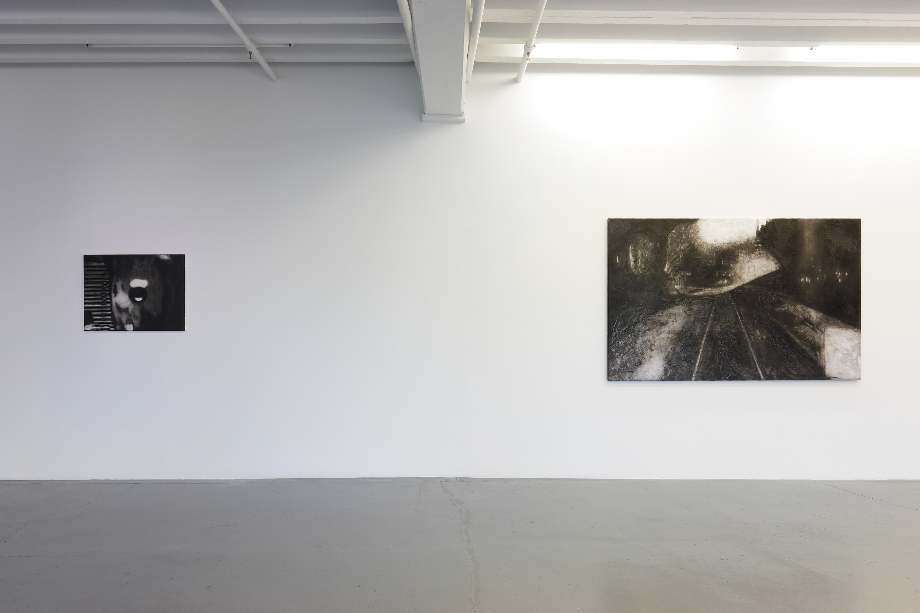 Raha Raissnia, Aberration at Miguel Abreu, New York (88 Eldridge Street, 36 Orchard Street), photo 5