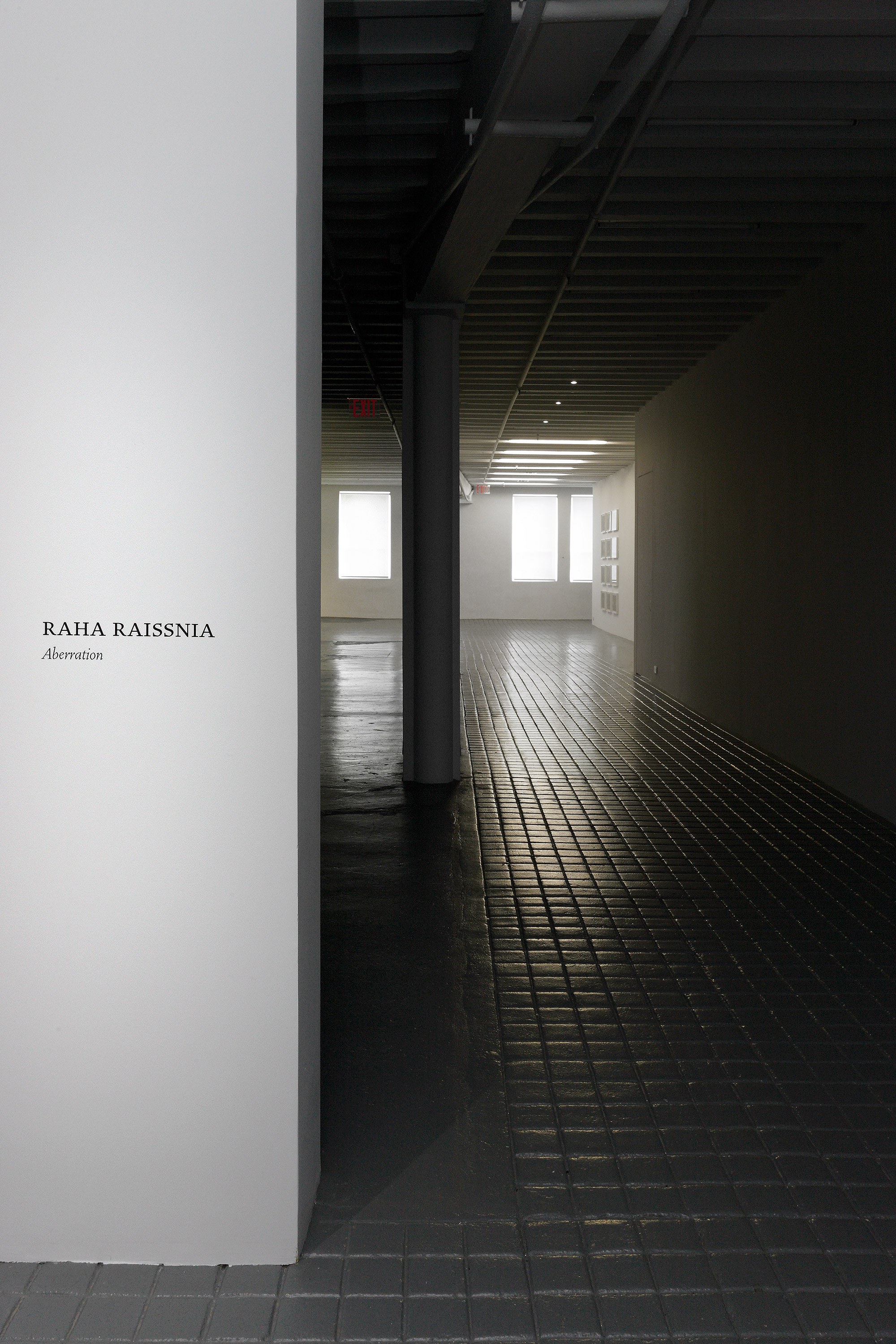 Raha Raissnia, Aberration at Miguel Abreu, New York (88 Eldridge Street, 36 Orchard Street), photo 10