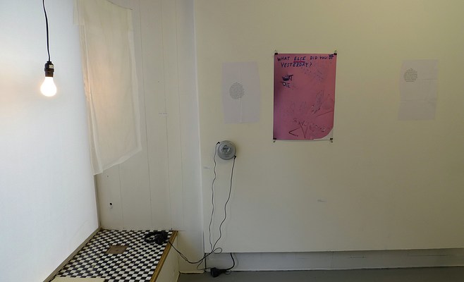 Image 11 of 25