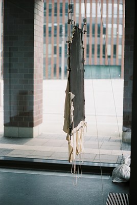 Image 8 of 23