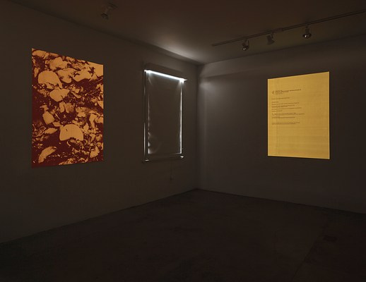 Image 4 of 50