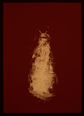 Image 38 of 50