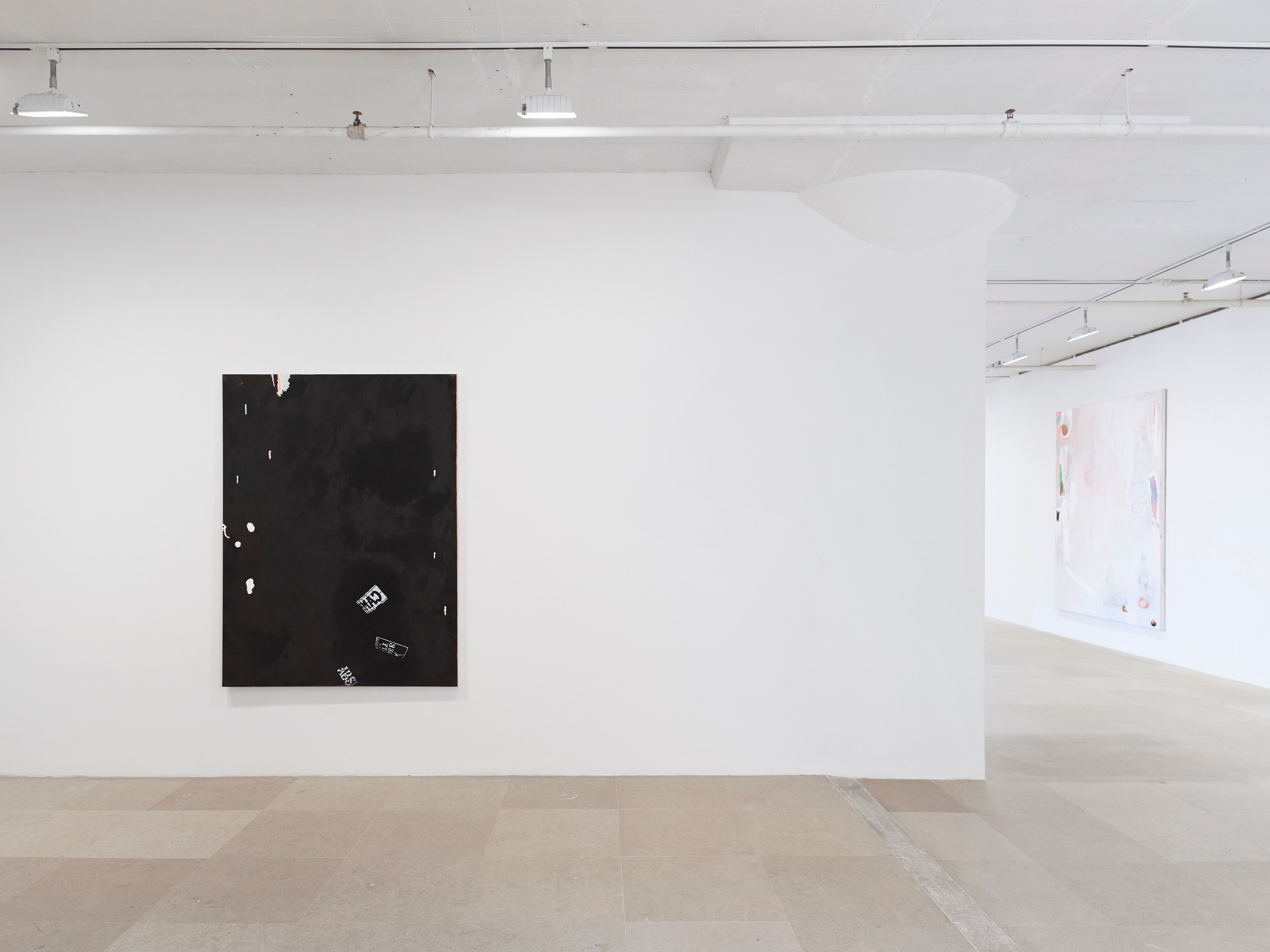 Monika Baer, On Hold at Greene Naftali, photo 4