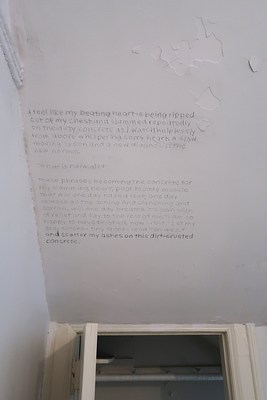 Image 5 of 29