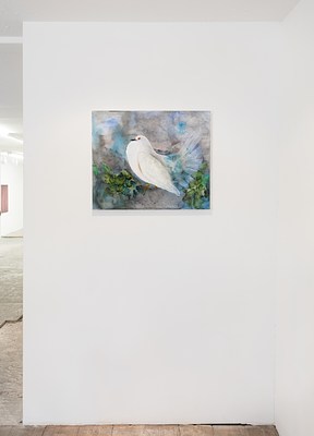 Image 11 of 39