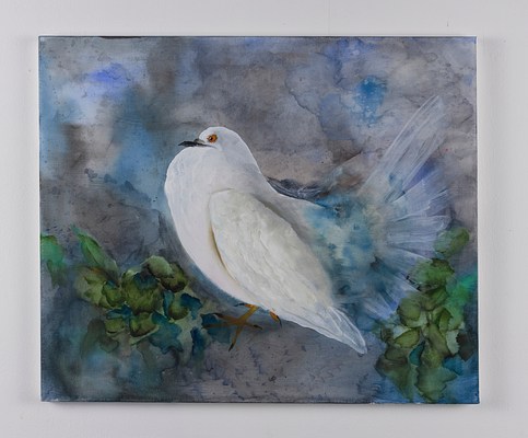 Image 12 of 39