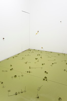 Image 3 of 29