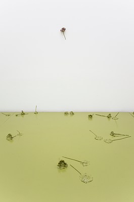 Image 4 of 29