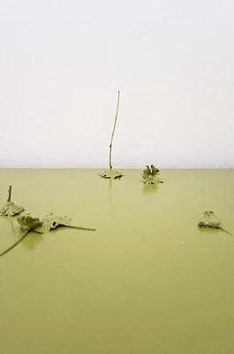Image 7 of 29