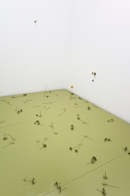 Image 10 of 29