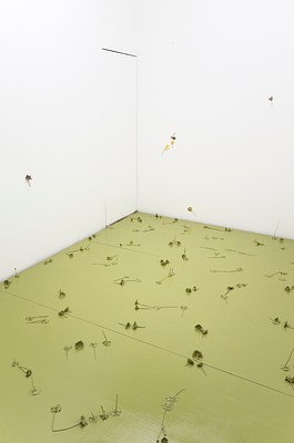 Image 11 of 29