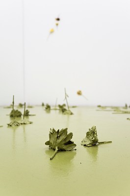 Image 13 of 29