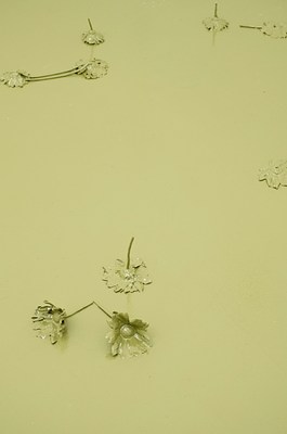 Image 21 of 29