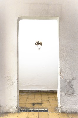 Image 24 of 29