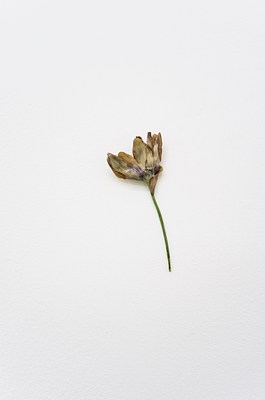 Image 25 of 29