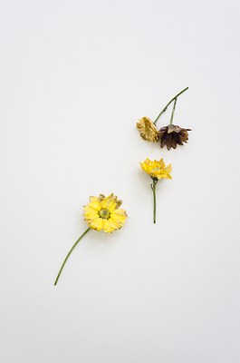 Image 27 of 29