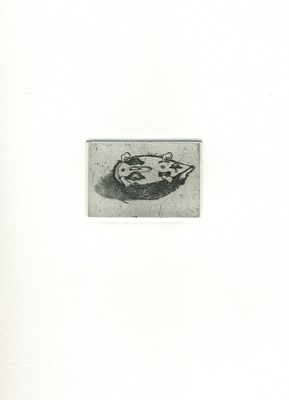 Image 8 of 20