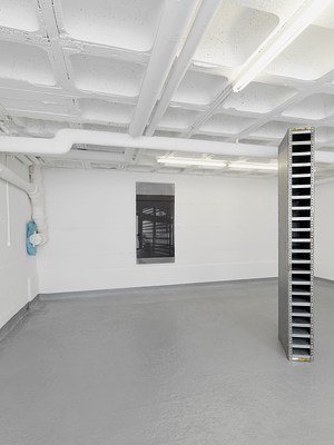 Image 8 of 31