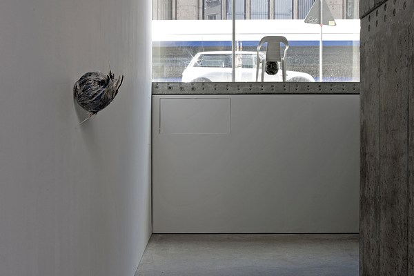 Image 2 of 10