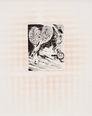 Image 16 of 25