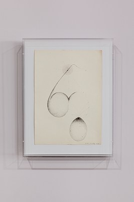 Image 17 of 23