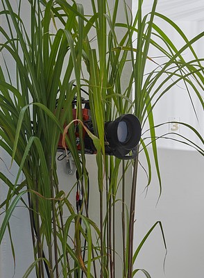 Image 13 of 28