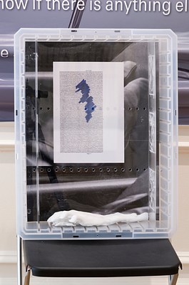 Image 11 of 28