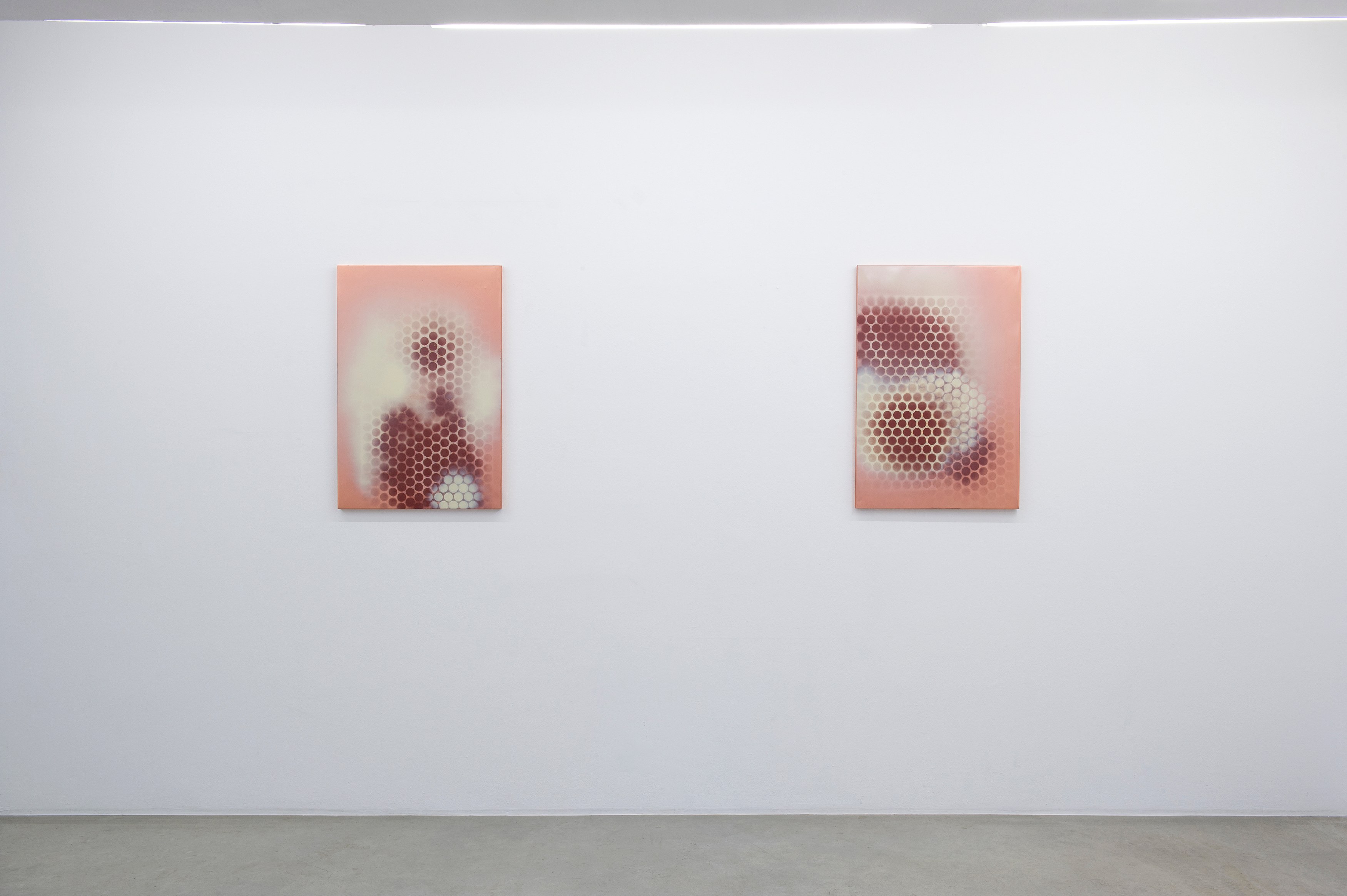 François Curlet, Frozen Feng Shui at Air de Paris, photo 4