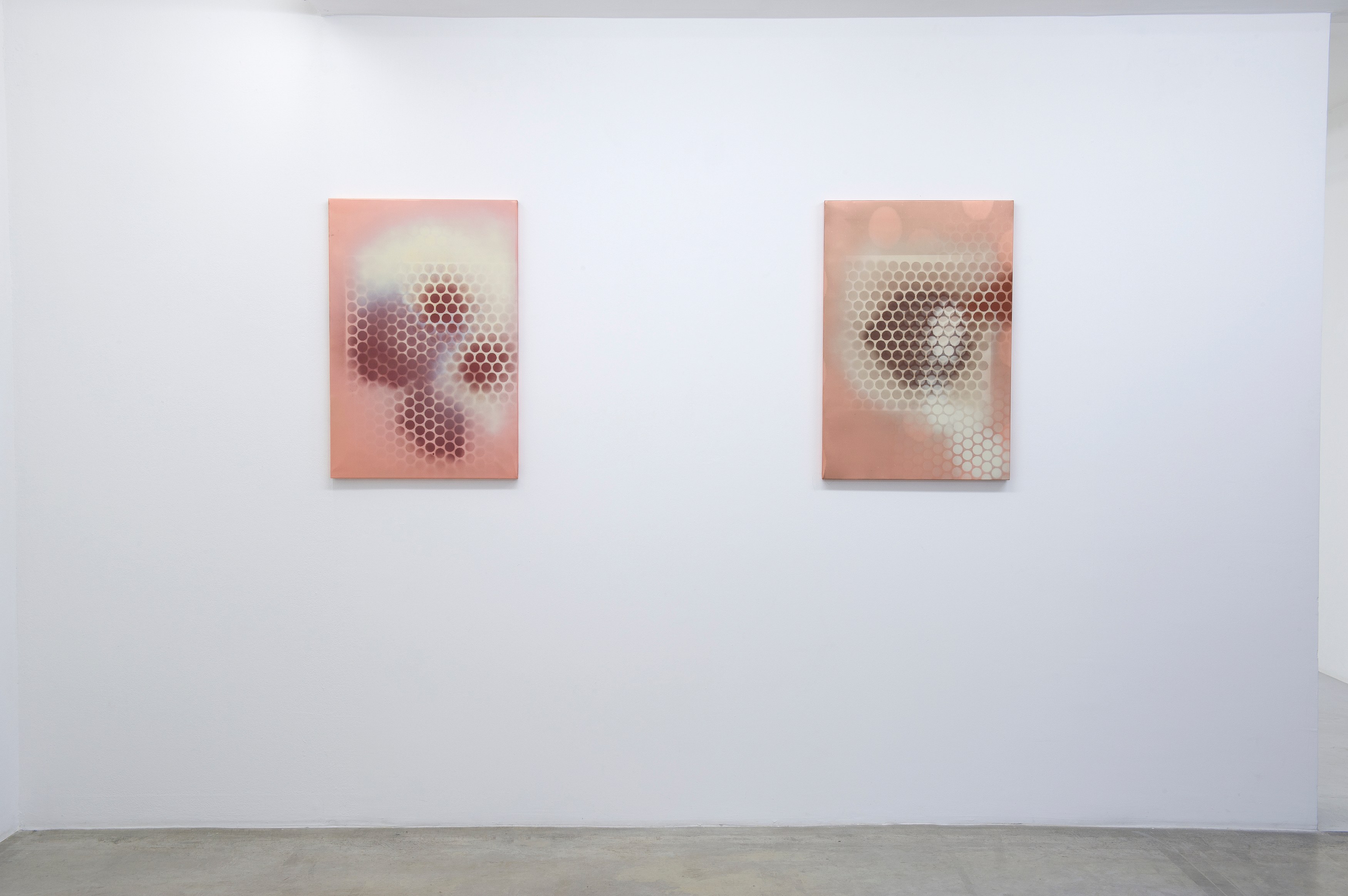François Curlet, Frozen Feng Shui at Air de Paris, photo 5