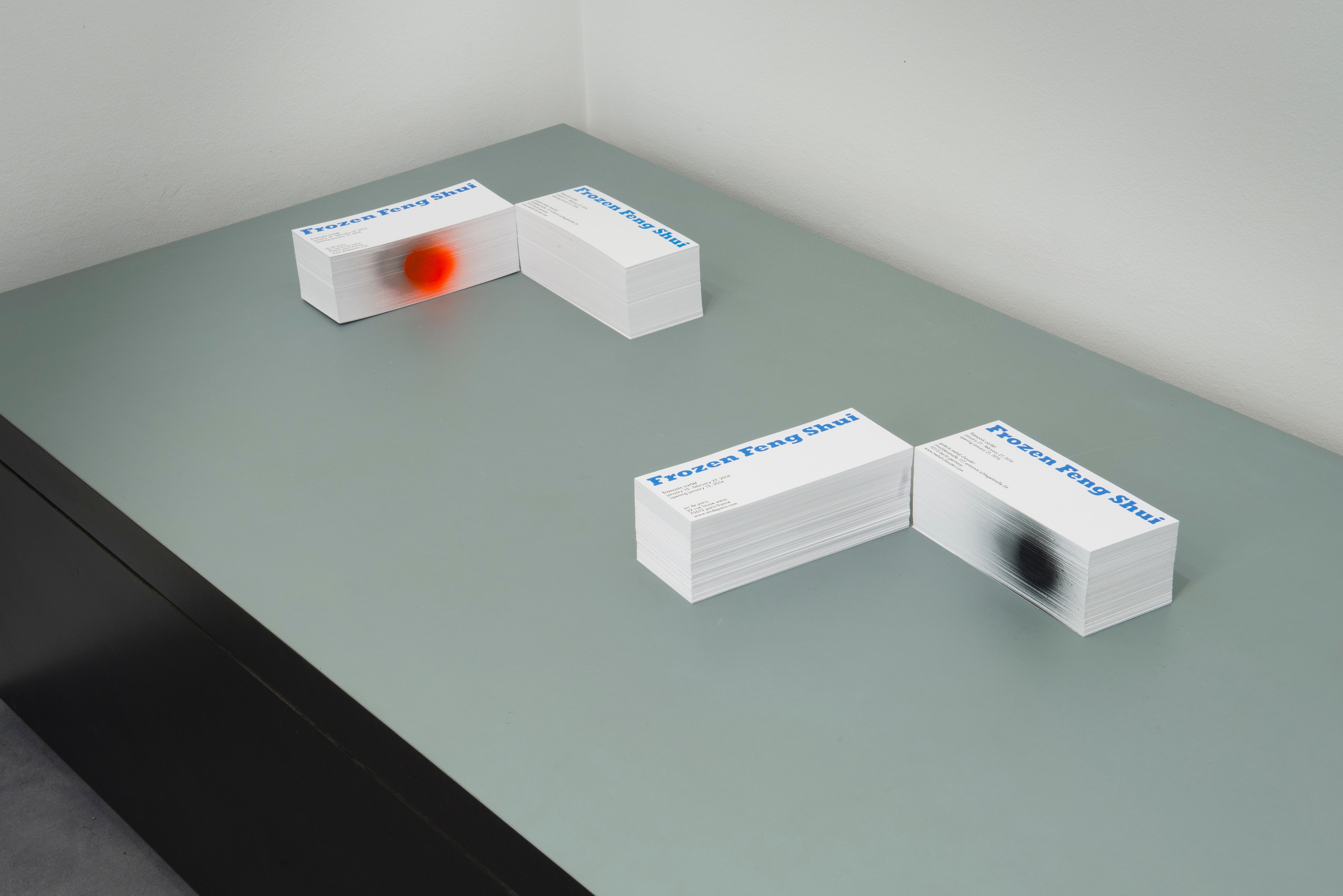 François Curlet, Frozen Feng Shui at Air de Paris, photo 21
