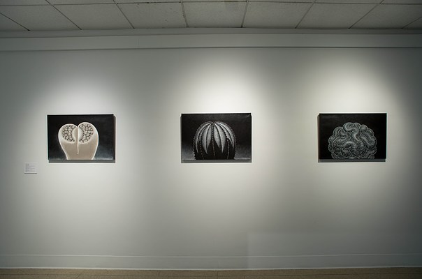 Image 10 of 37