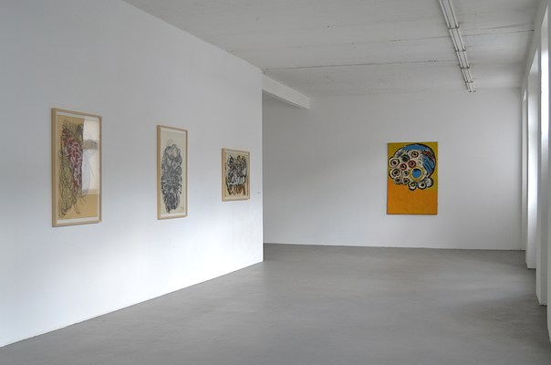Image 1 of 13