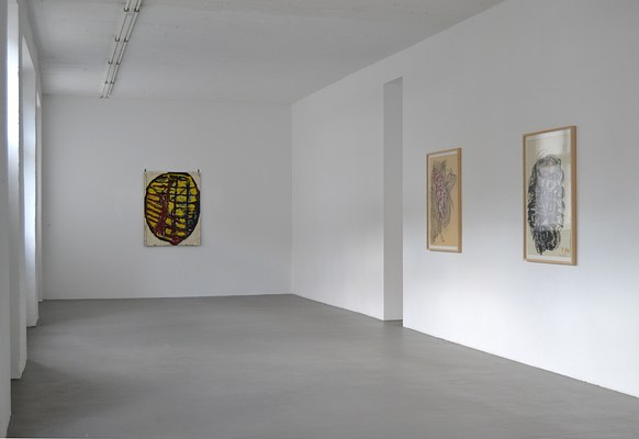 Image 2 of 13