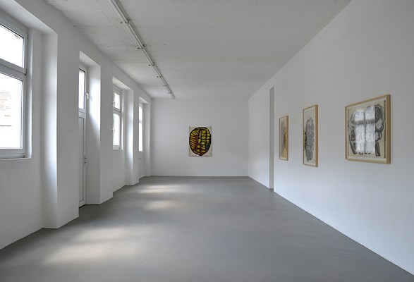 Image 3 of 13