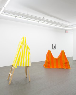 Image 4 of 20