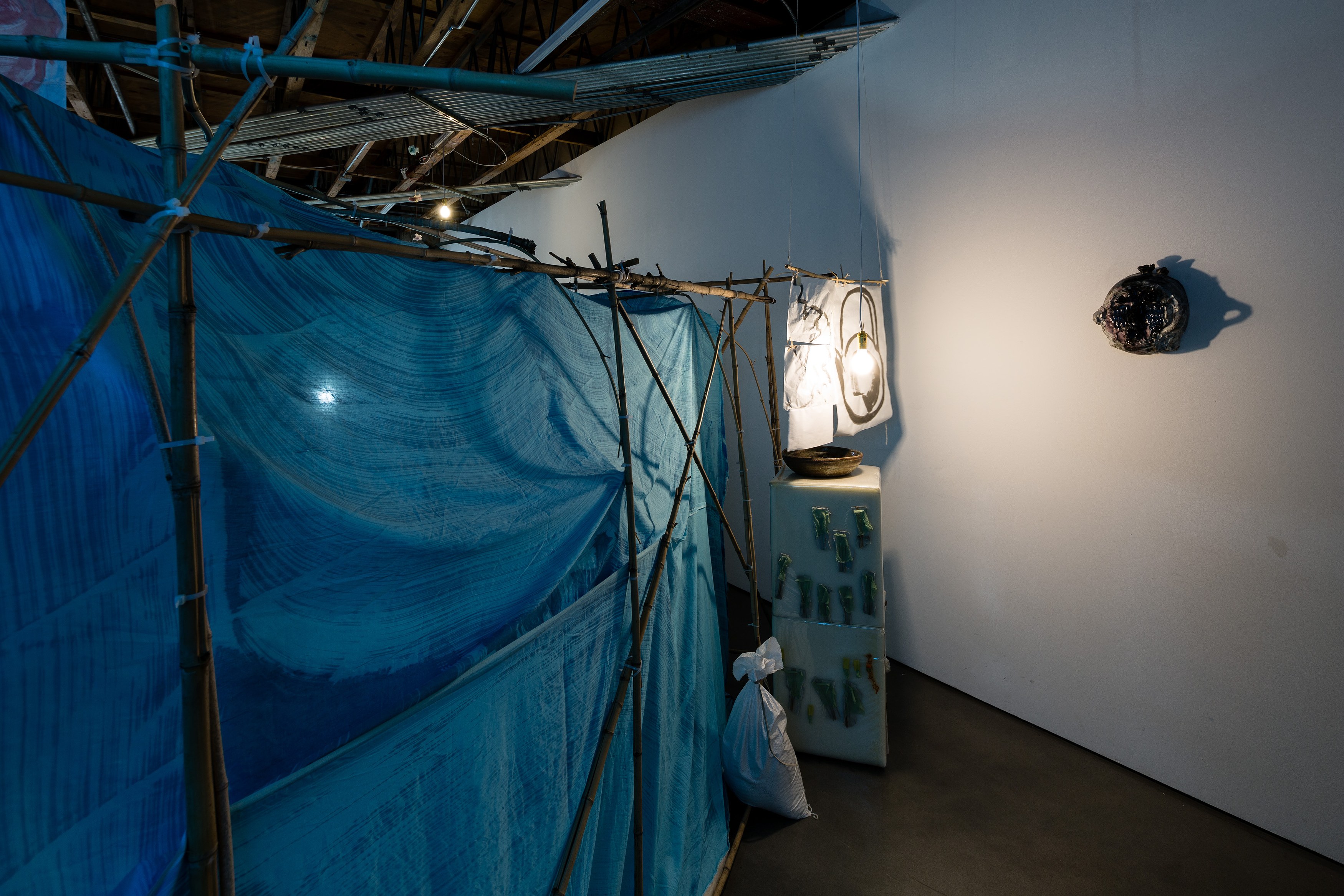Matthew Lutz-Kinoy, To Satisfy the Rose at Freedman Fitzpatrick, photo 2