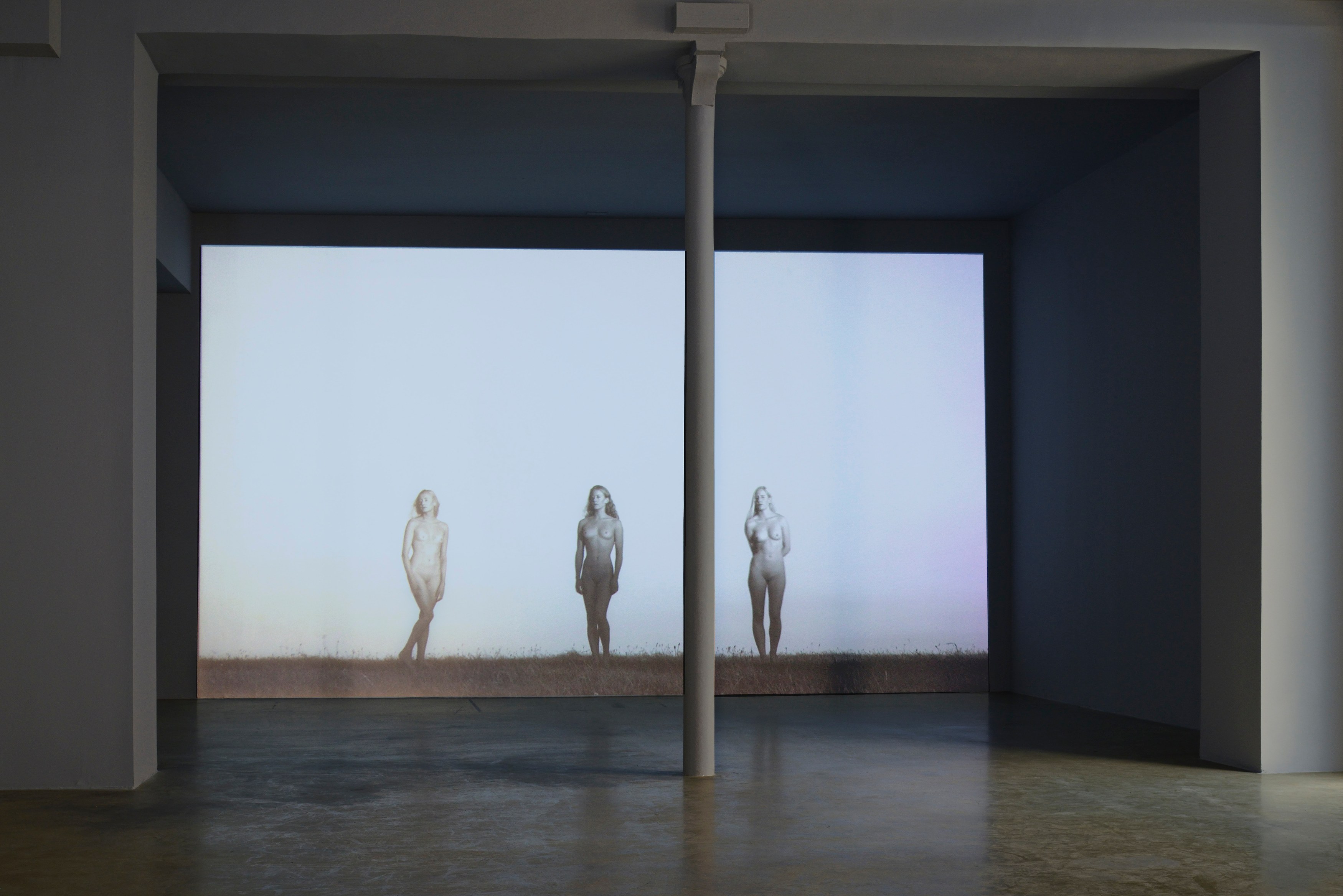 Les Trois Grâces, Les Trois Grâces at Galerie Chantal Crousel, photo 4