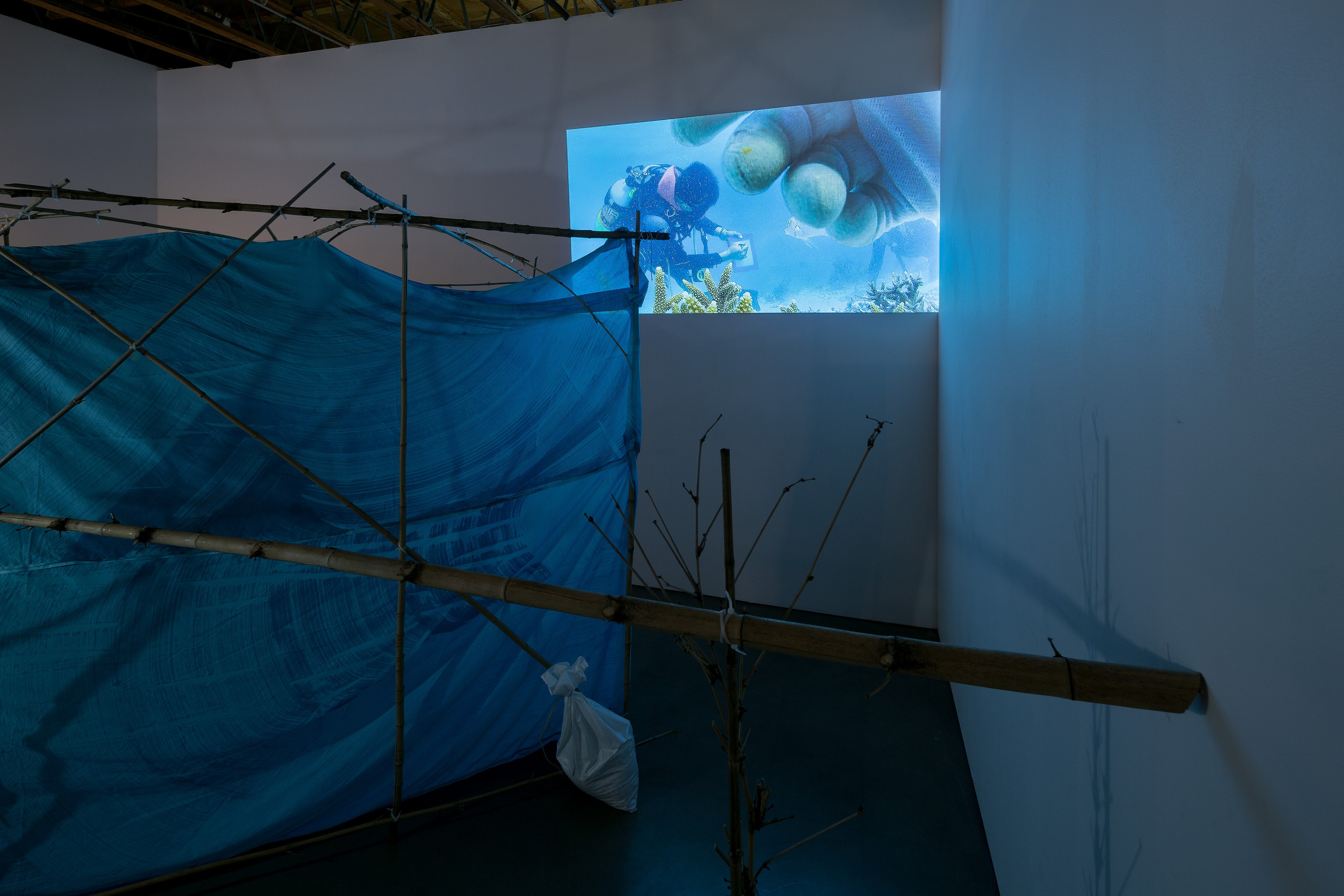 Matthew Lutz-Kinoy, To Satisfy the Rose at Freedman Fitzpatrick, photo 3