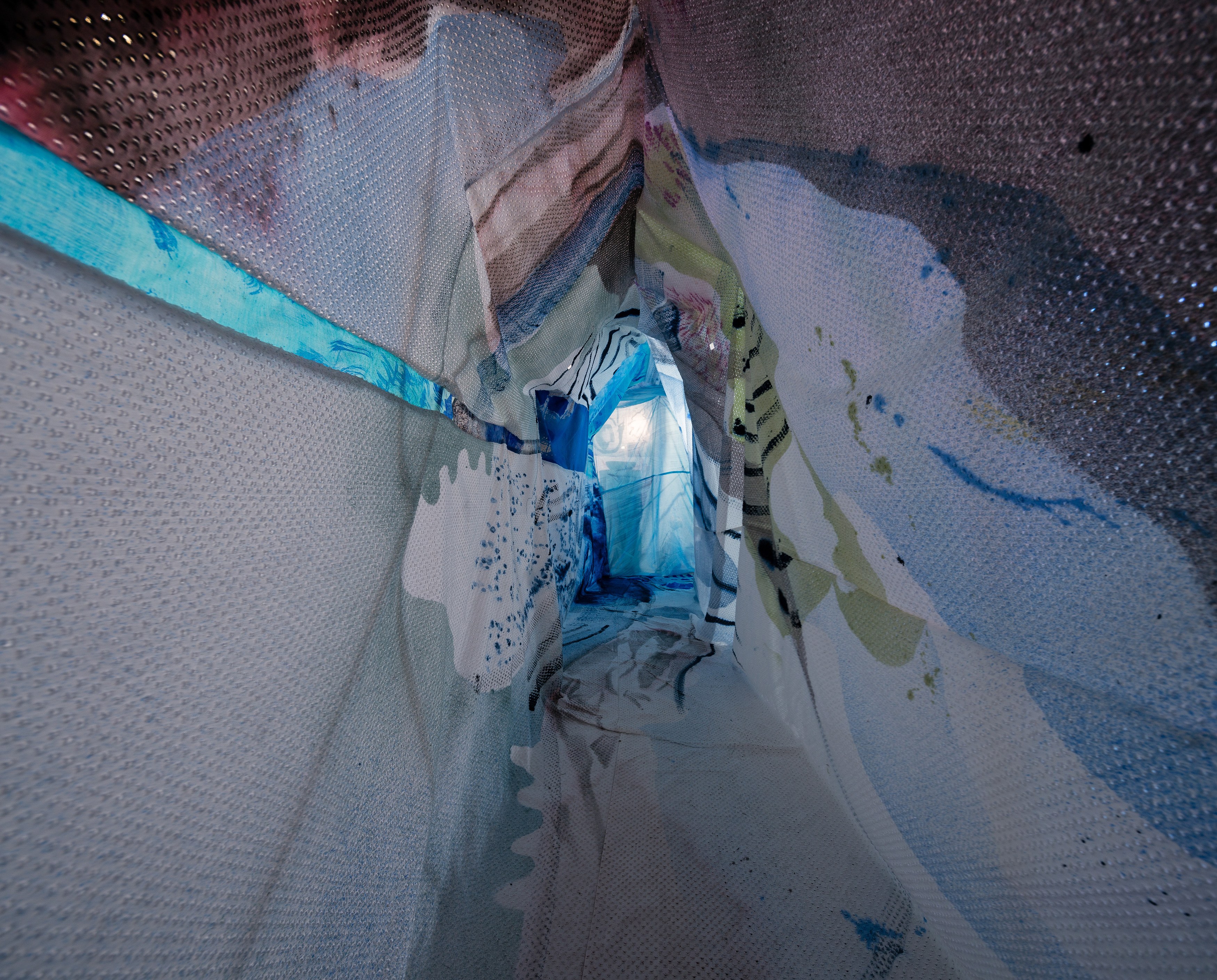 Matthew Lutz-Kinoy, To Satisfy the Rose at Freedman Fitzpatrick, photo 6