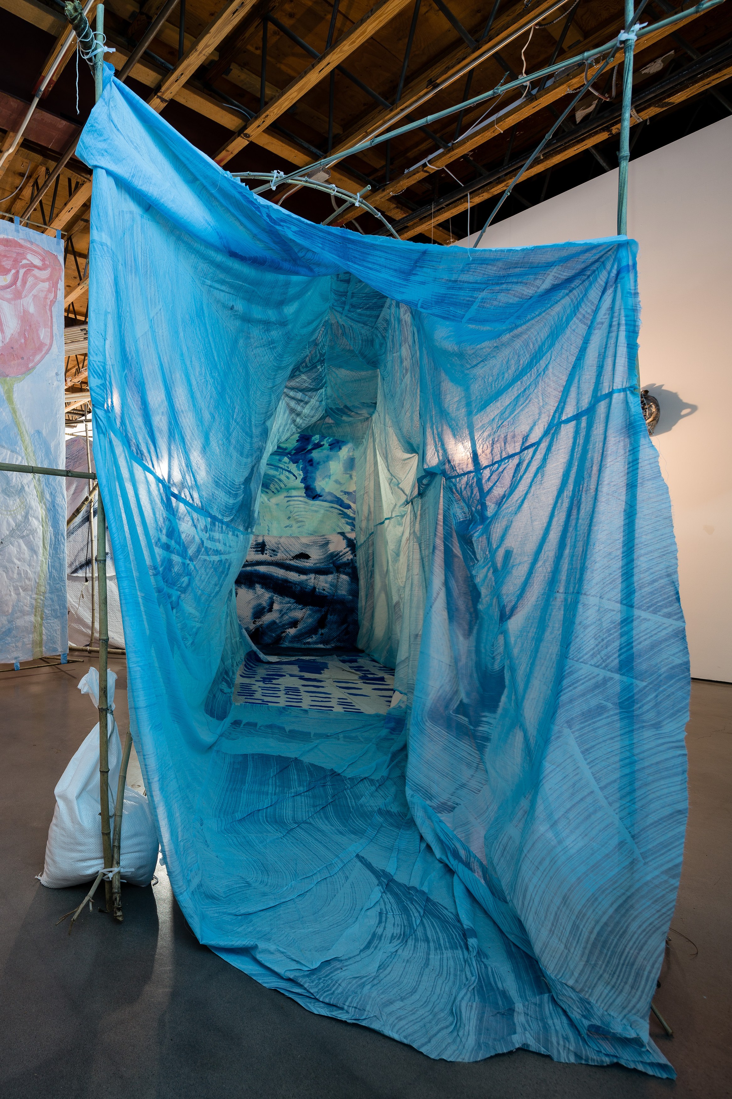 Matthew Lutz-Kinoy, To Satisfy the Rose at Freedman Fitzpatrick, photo 10