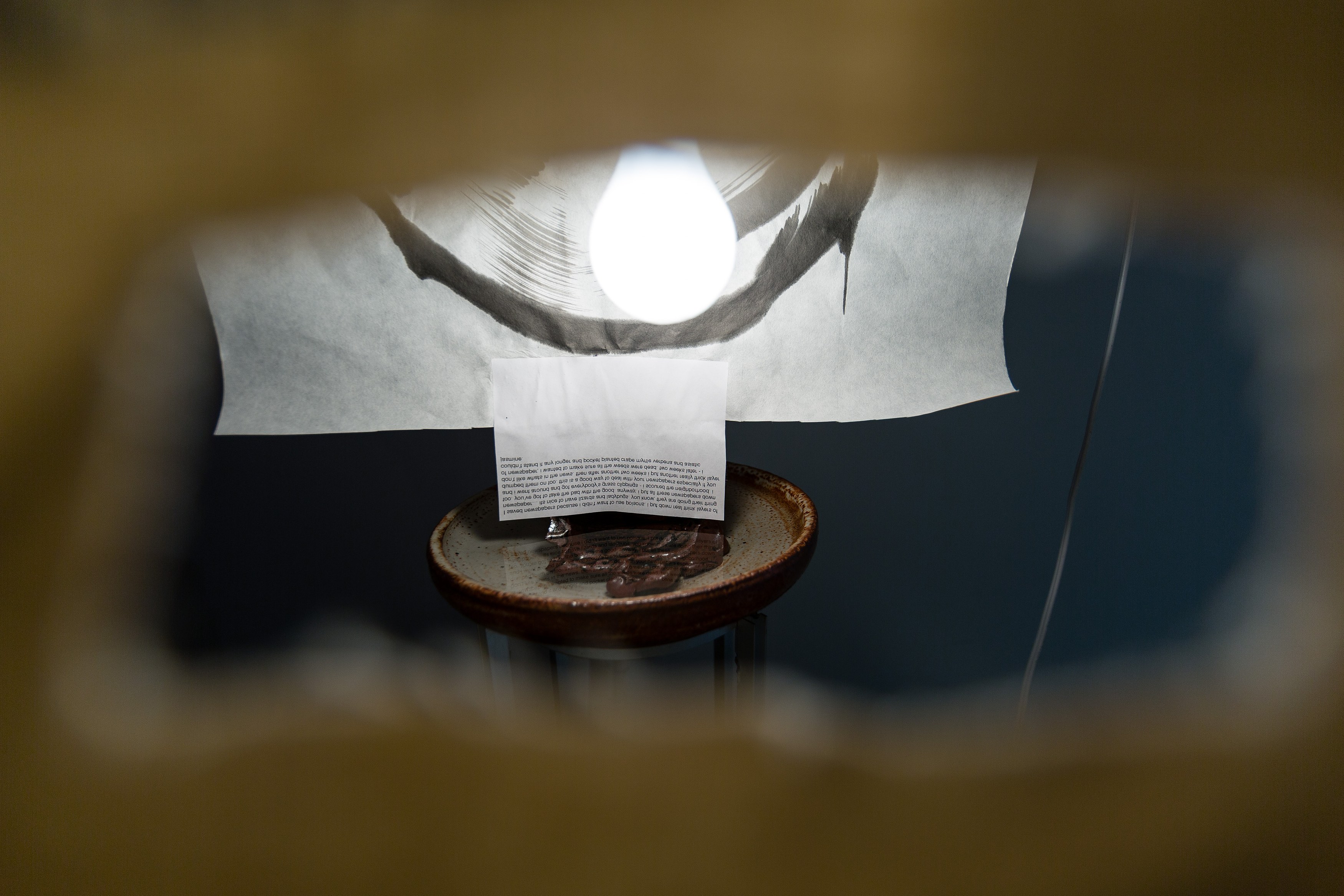 Matthew Lutz-Kinoy, To Satisfy the Rose at Freedman Fitzpatrick, photo 15
