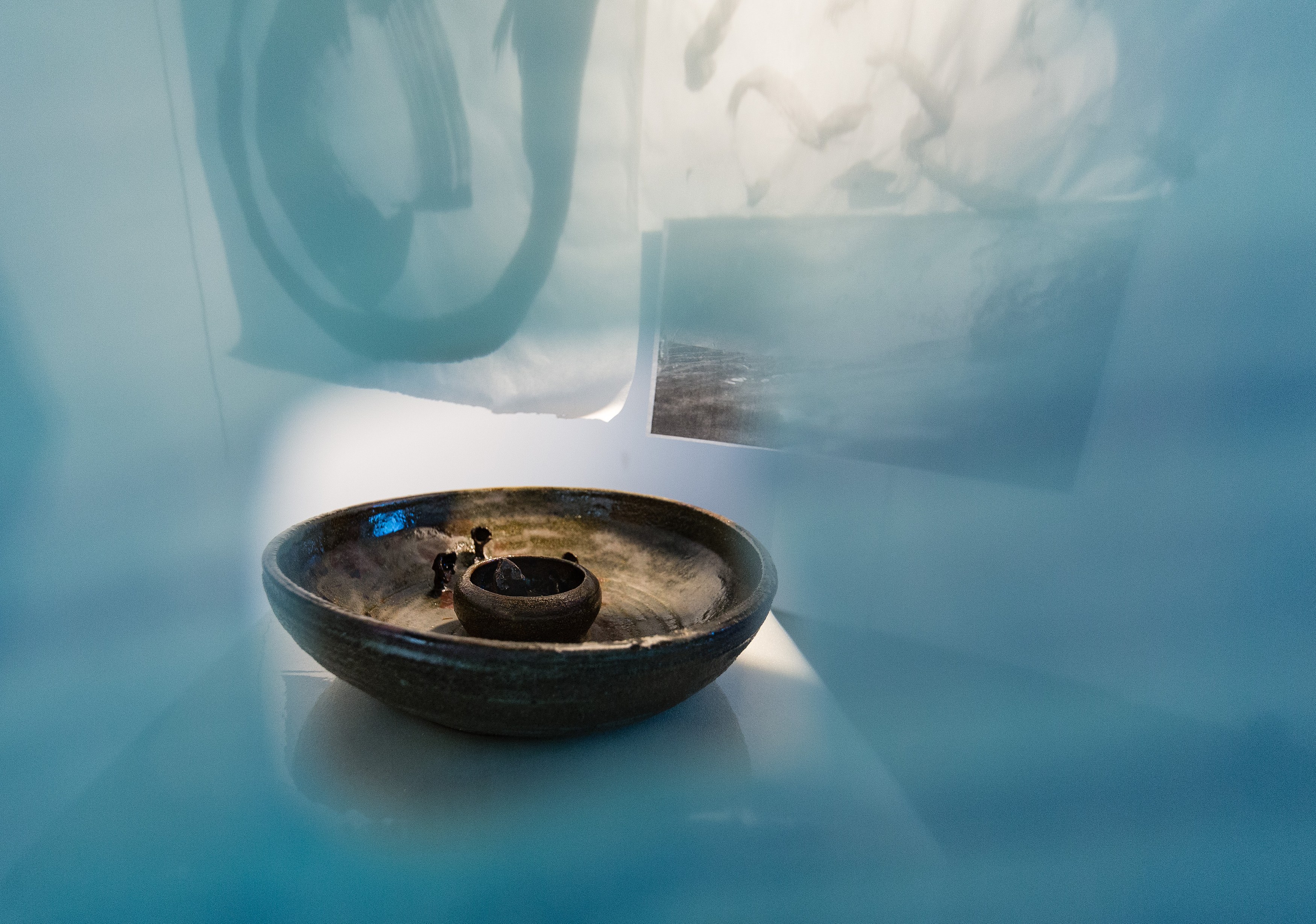 Matthew Lutz-Kinoy, To Satisfy the Rose at Freedman Fitzpatrick, photo 19