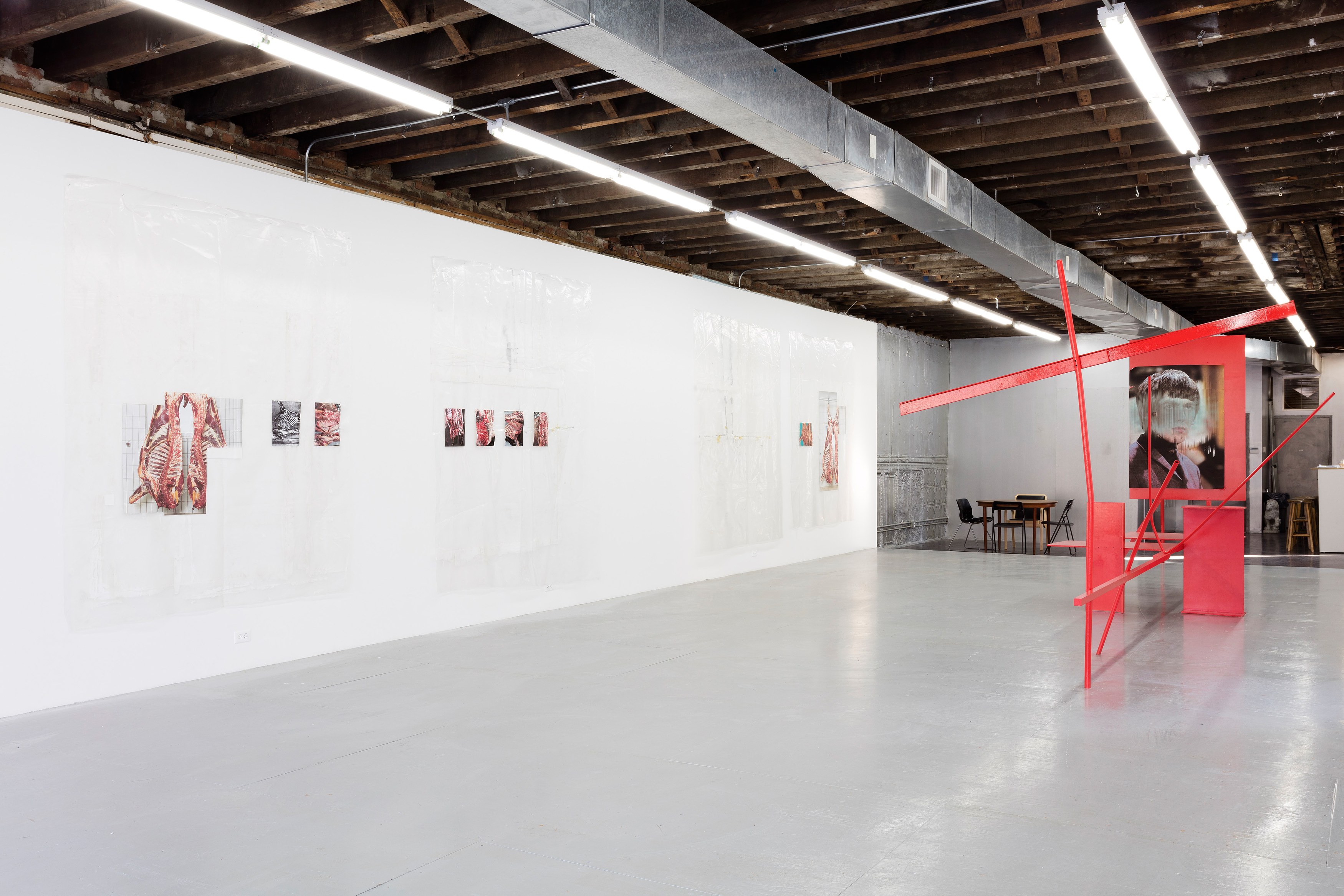 Henrik Olesen, Henrik Olesen at Reena Spaulings Fine Art, photo 4