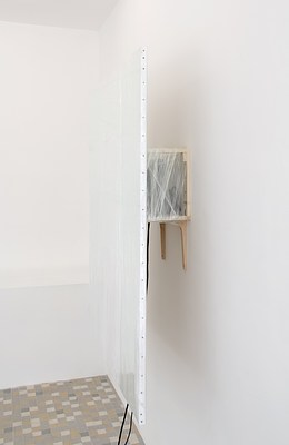 Image 6 of 10