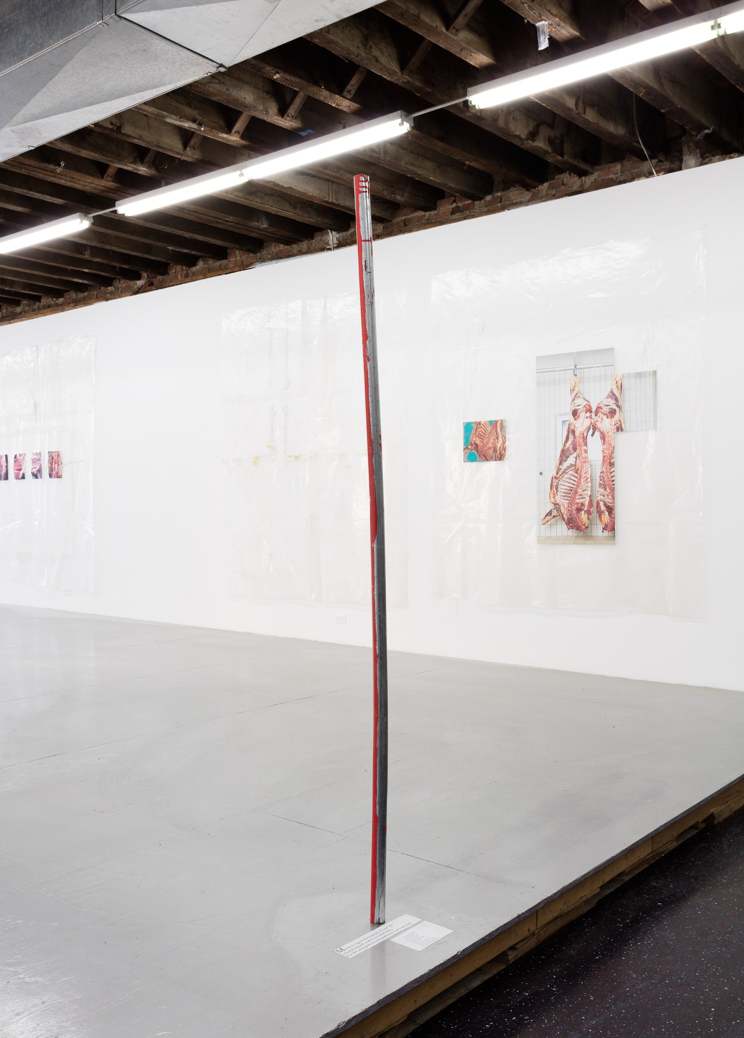 Henrik Olesen, Henrik Olesen at Reena Spaulings Fine Art, photo 11