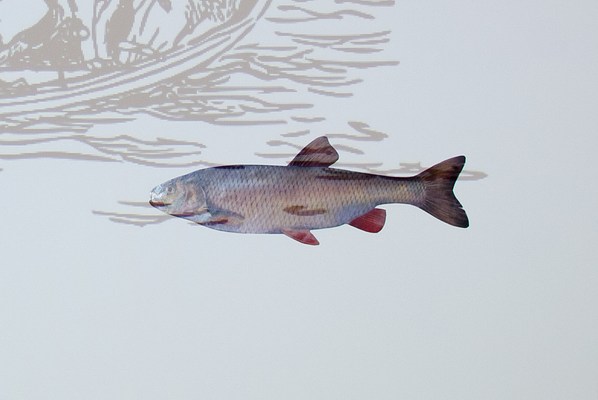 Image 10 of 10