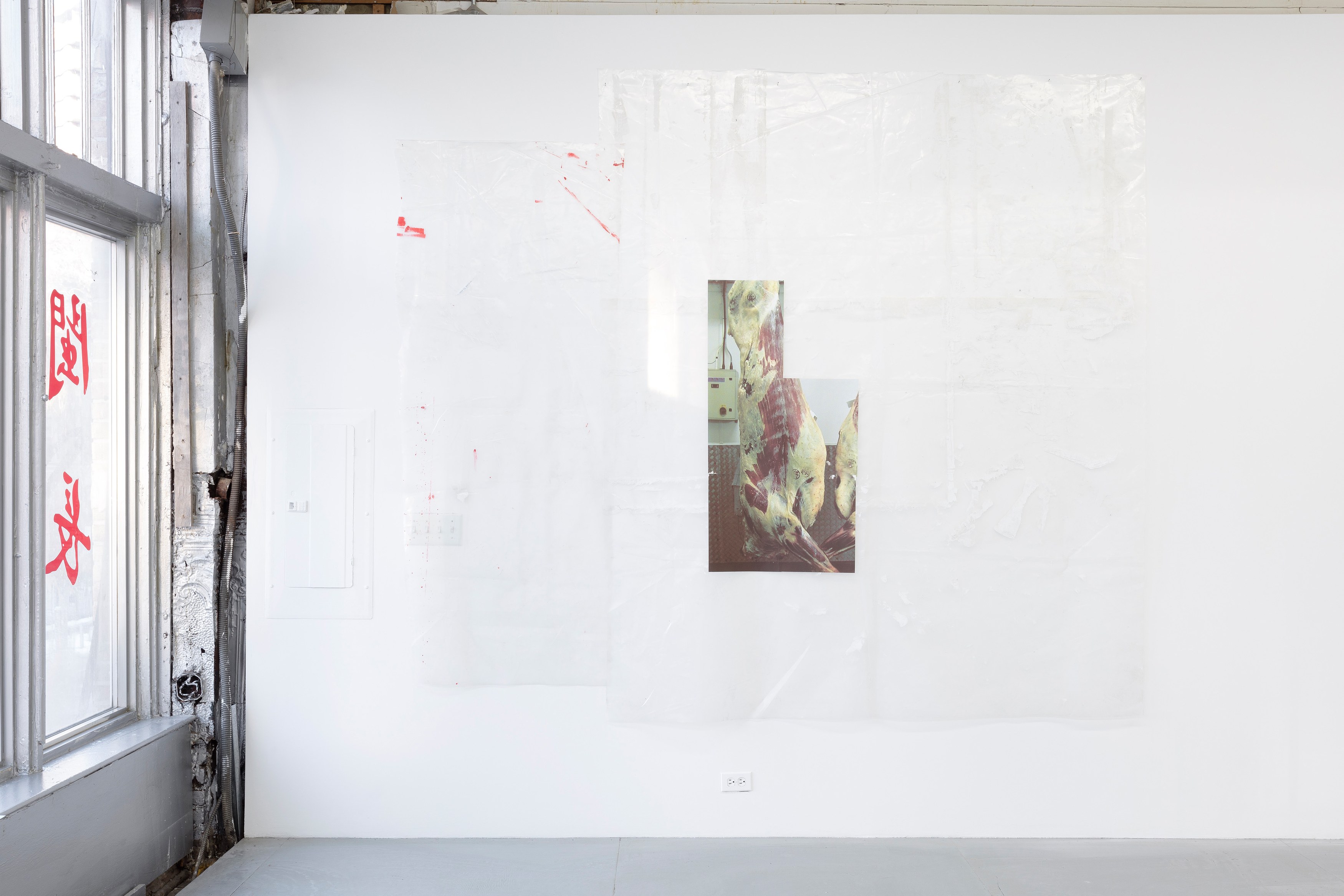 Henrik Olesen, Henrik Olesen at Reena Spaulings Fine Art, photo 18