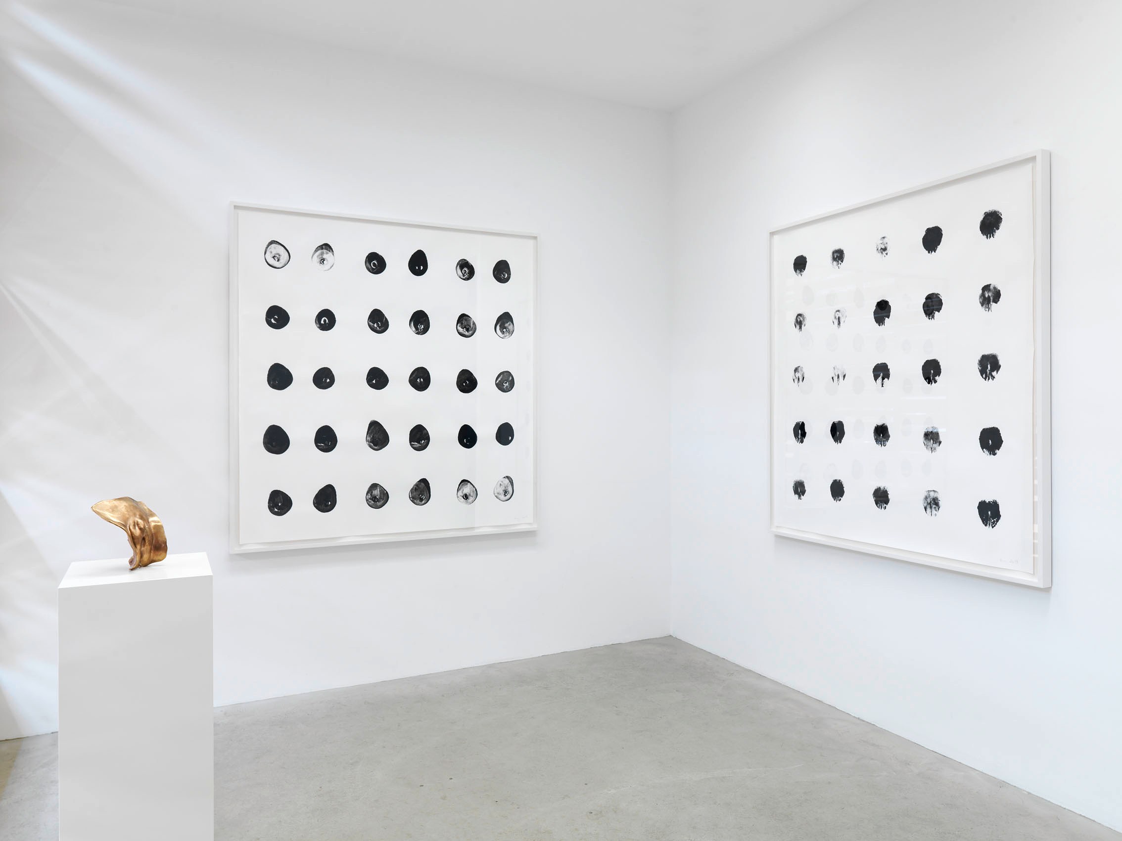 Alexandra Bircken, Inside out at BQ, photo 4