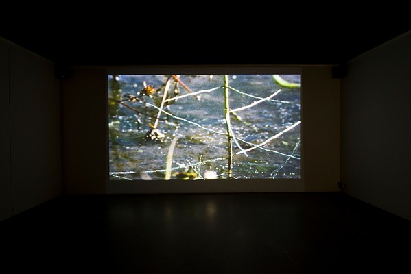 Image 12 of 46
