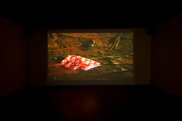 Image 14 of 46